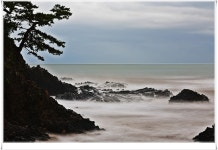 베스트갤러리 - 아침 바다