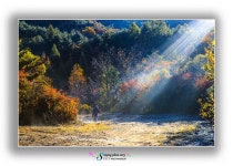 베스트갤러리 - 산따라 물따라