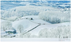 베스트갤러리 - 순백의 세상