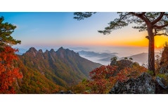 베스트갤러리 - 구봉산 추경