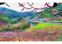 베스트갤러리 - 도원의 향기