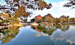 베스트갤러리 - 秋色 의 景福宮 慶會樓