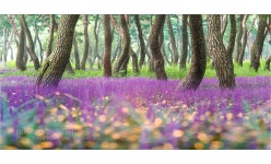 베스트갤러리 - 솔숲의 향기