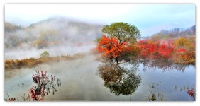 베스트갤러리 - 물안개 피는 용담호