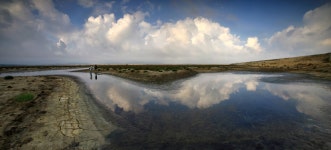 베스트갤러리 - 강(江)