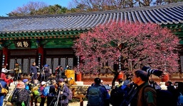 베스트갤러리 - 양산통도사