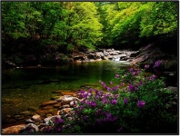 베스트갤러리 - 뱀사골