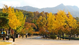 베스트갤러리 - 동물원 가는 길