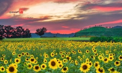 베스트갤러리 - 연천 호로고루......