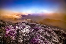 베스트갤러리 - 덕유의 지난 이야기