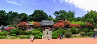 베스트갤러리 - 오죽헌의 배롱