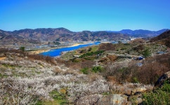 베스트갤러리 - 섬진강과매화마을