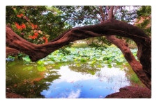 베스트갤러리 - 명옥헌