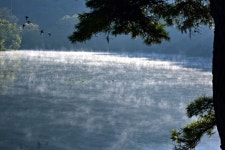 베스트갤러리 - 물안개 피는곳에