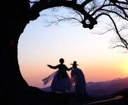 베스트갤러리 - 사랑나무