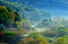 베스트갤러리 - 비밀의정원