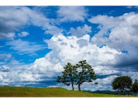 베스트갤러리 - 구름좋은날~왕궁