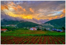 베스트갤러리 - 여명_2021