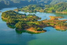 베스트갤러리 - 붕어섬