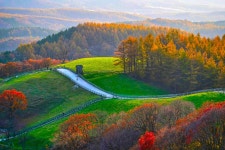 베스트갤러리 - 목장에서