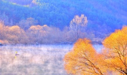 베스트갤러리 - 물 안개 피는 합천호