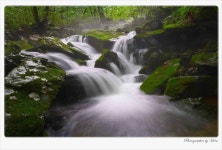 베스트갤러리 - 이끼계곡