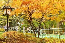 베스트갤러리 - 시계답과 단풍