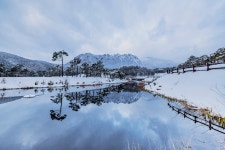 베스트갤러리 - 심설울산암