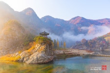 베스트갤러리 - 월류봉의 아침