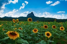 베스트갤러리 - 농업기술센타