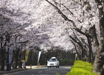 베스트갤러리 - 燈下不明