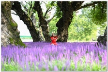 베스트갤러리 - 성밖숲 의 그녀