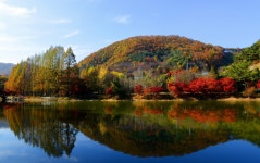 베스트갤러리 - 계룡시 입암지