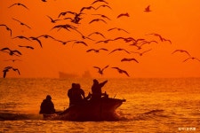 베스트갤러리 - 걍양에서 갈매기와 함께.