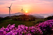 베스트갤러리 - 서광목장