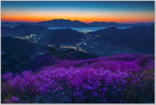 영취산슈퍼 식당 | 베스트갤러리 - 영취산