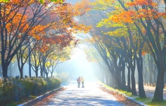 베스트갤러리 - 우리는 짝궁