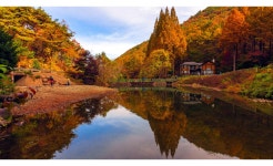 베스트갤러리 - 온빛 자연휴양림