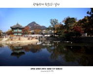 베스트갤러리 - 향원정의 청둥오리