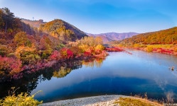 베스트갤러리 - 용담호의 가을