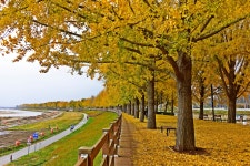 베스트갤러리 - 곡교천 추경.