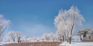 베스트갤러리 - 궁남지