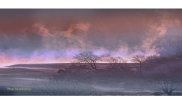 베스트갤러리 - 물안개 피는 강가의 소경 --------