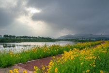 베스트갤러리 - 강변풍경