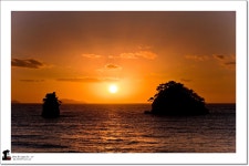 베스트갤러리 - 노을속 꽃지