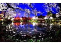 베스트갤러리 - 추억의 보문정