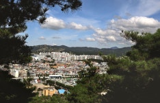 베스트갤러리 - 함지산 (대구) 본 우리동네