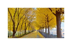 베스트갤러리 - 송정제방산책길