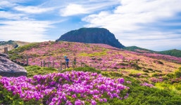 베스트갤러리 - 한라산 윗세오름