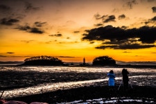 베스트갤러리 - 안면암